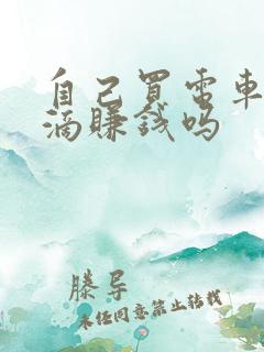 自己买电车跑滴滴赚钱吗