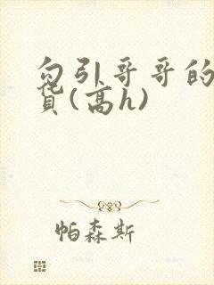 勾引哥哥的小骚货(高h)