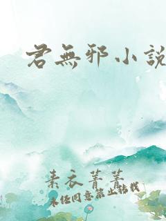 君无邪小说主角