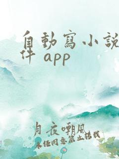 自动写小说的软件 app