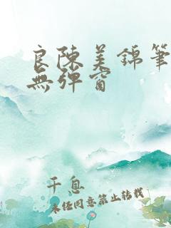 良陈美锦笔趣阁无弹窗