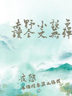 去野小说免费阅读全文无弹窗