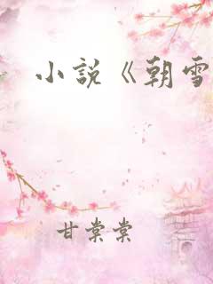 小说《朝雪录》