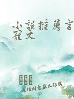 小说推荐言情甜宠文