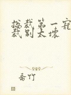 总裁第一宠婚总裁别太坏
