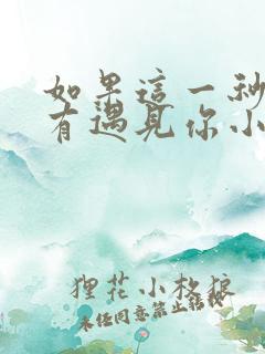 如果这一秒我没有遇见你小说
