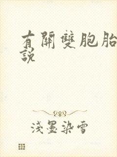 有关双胞胎的小说
