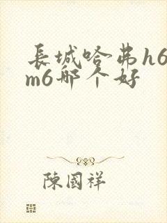 长城哈弗h6与m6哪个好