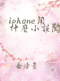 iphone用什么小说阅读器好