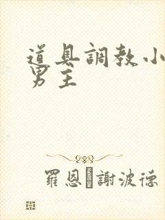 道具调教小说双男主