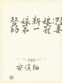 替嫁新娘:陆总的第一宠妻