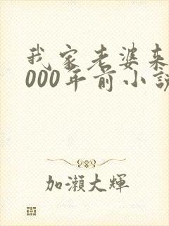 我家老婆来自1000年前小说