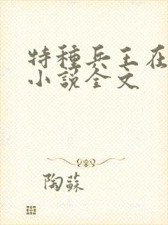 特种兵王在山村小说全文