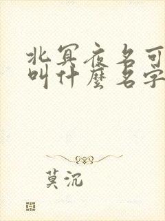 北冥夜名可小说叫什么名字