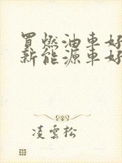 买燃油车好还是新能源车好