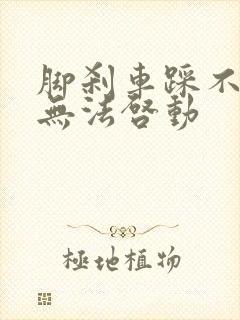 脚刹车踩不动,无法启动