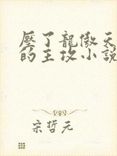 压了龙傲天男主的主攻小说