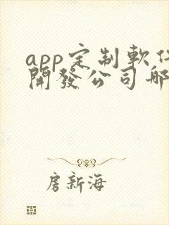 app定制软件开发公司哪家好