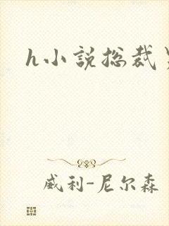 h小说总裁男男