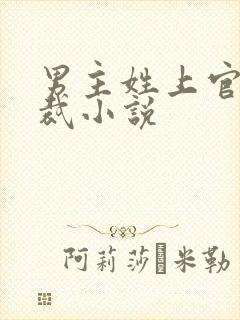 男主姓上官的总裁小说 男主姓上官的总裁小说