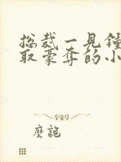 总裁一见钟情强取豪夺的小说