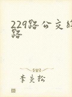 229路公交线路