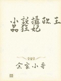 小说摄政王的医品狂妃