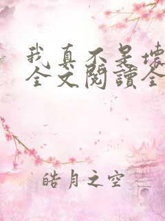 我真不是坏男人全文阅读全文