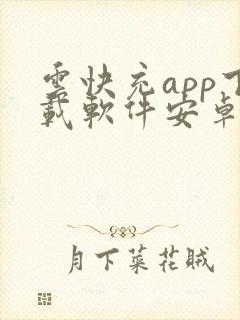云快充app下载软件安卓