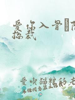 爱你入骨·隐婚总裁