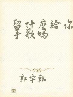 留什么给你是分手歌吗