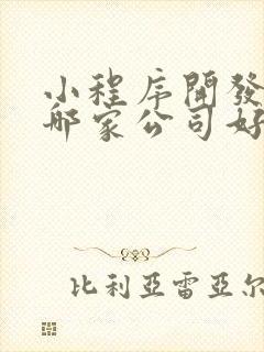小程序开发定制哪家公司好