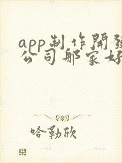 app制作开发公司那家好