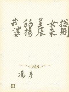我的美女总裁老婆杨辰未删减版免费阅读