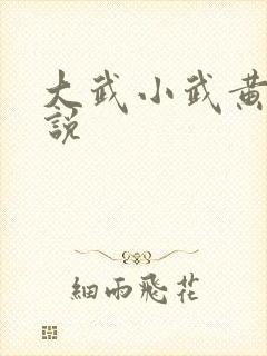 大武小武黄蓉小说