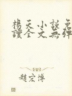 杨天小说免费阅读全文无弹窗