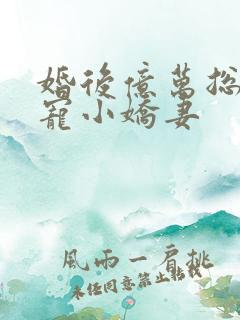 婚后亿万总裁独宠小娇妻