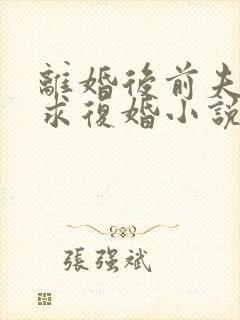 离婚后前夫哭着求复婚小说免费读
