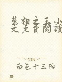 万相之王小说全文免费阅读无弹窗