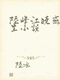 陆峰江晓燕的重生小说