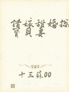 错嫁甜婚总裁的宝贝妻