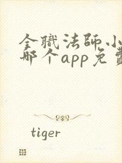 全职法师小说在哪个app免费阅读
