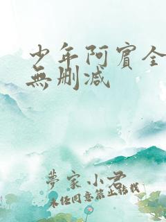 少年阿宾全在线无删减