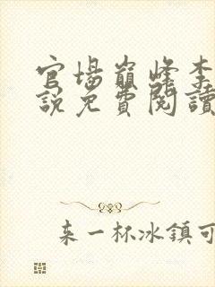 官场巅峰李霖小说免费阅读