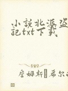 小说北派盗墓笔记txt下载