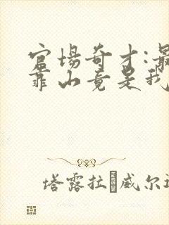 官场奇才:最强靠山竟是我自己李霖是什么 官场奇才:最强靠山竟是我自己李霖是什么