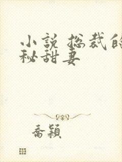 小说 总裁的神秘甜妻