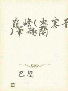巅峰(岑寨散人)笔趣阁