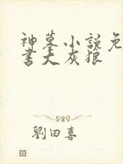 神墓小说免费听书大灰狼