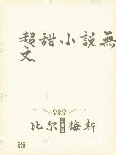 超甜小说无虐宠文